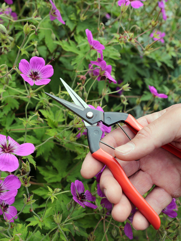 Niwaki Garden Snips